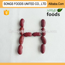 Low Price Organic Fresh Red Kidney Beans